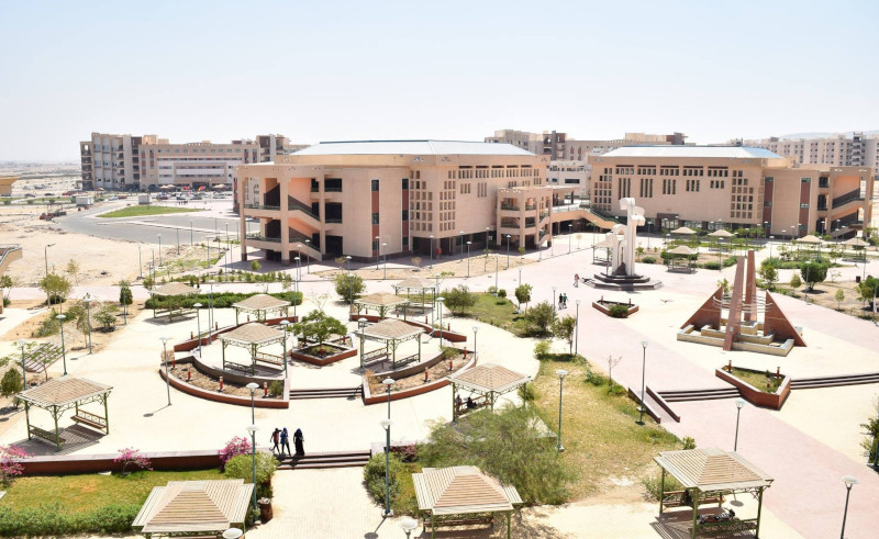 Sohag University Hospital Opens Critical Care Unit for Children