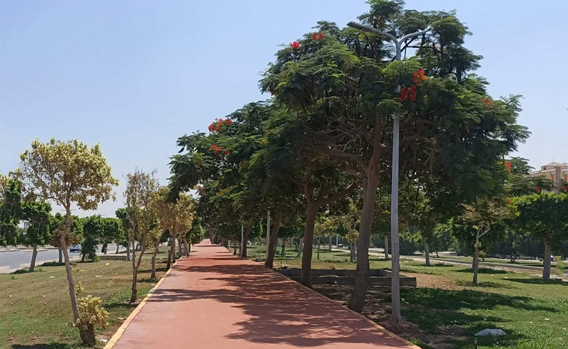 Obour City Establishes Free-of-Charge Gym Facilities & Running Tracks