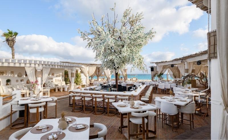 When Life Gives You The Lemon Tree: Rediscover Sahel's Loveliest Spot