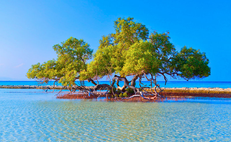 Egypt’s Red Sea Village of El Qula’an Becomes Fully Sustainable