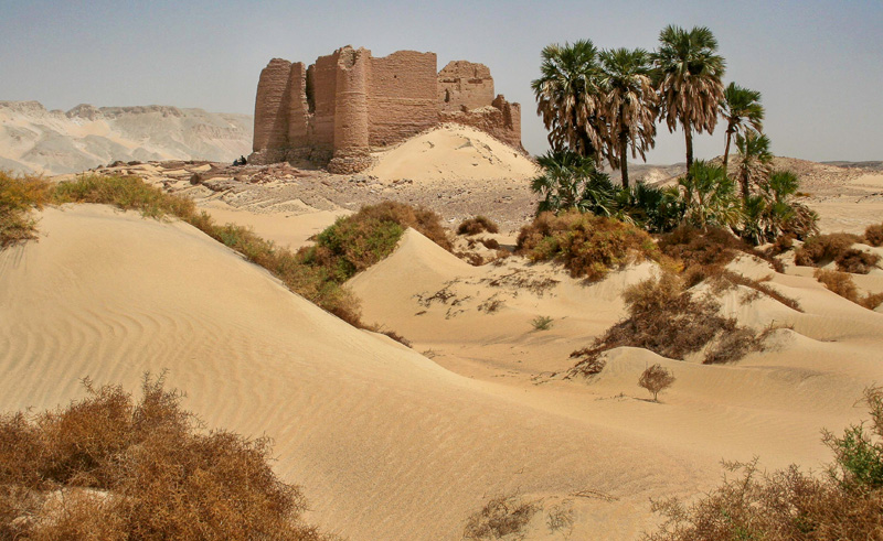 Kharga Oasis Named Arab Environment Capital Setting Regional Benchmark