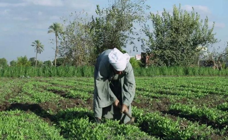 First Ever Food & Agriculture Pavilion to Be Hosted at COP27