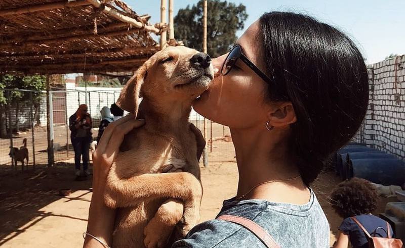 Support Egypt’s Stray Dogs at Creative Auction ‘One Cool Thing’