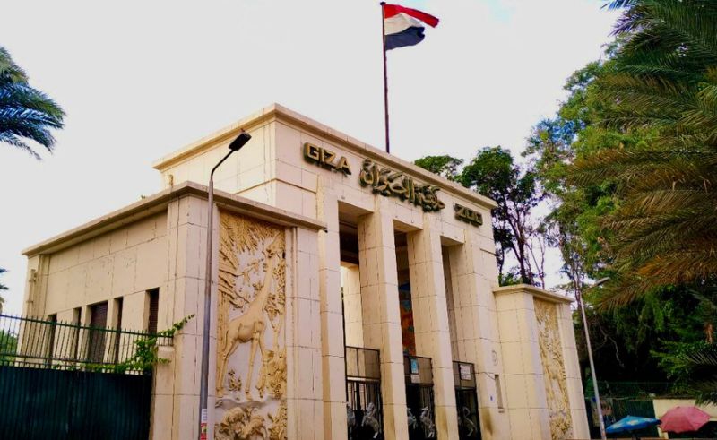 Giza Zoo Will Go Cageless After Major Renovation