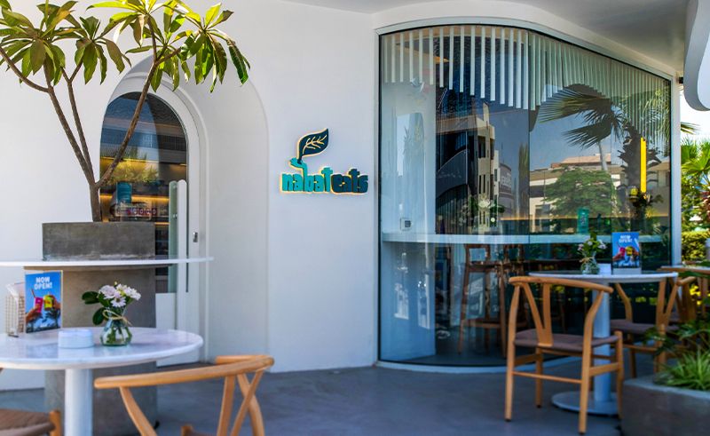 Nabat Eats Serves Up Healthy Treats From Its Own Hydroponic Farm