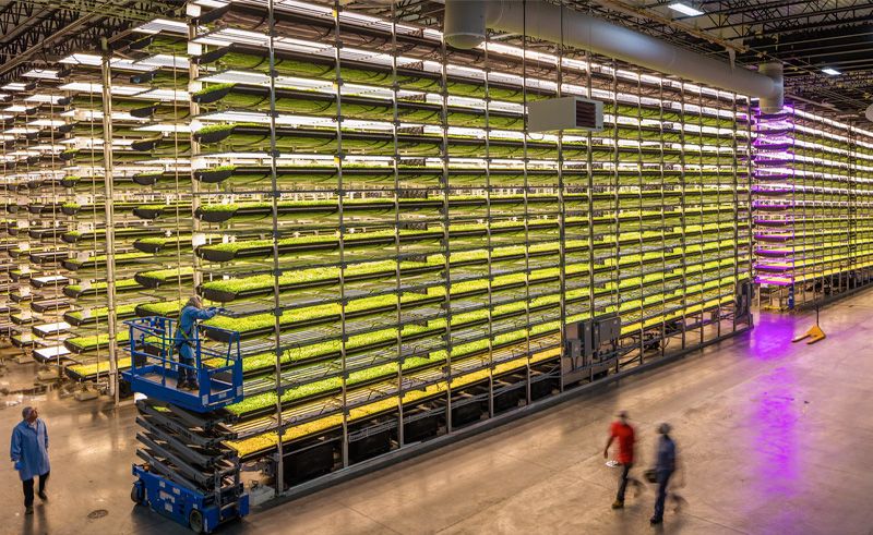 Saudi PIF Partners With AeroFarms to Build Vertical Farms Across MENA