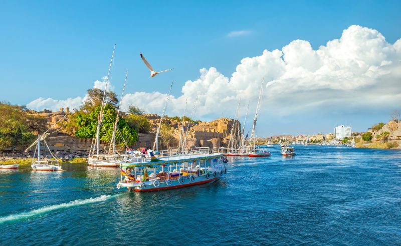 Aswan Intl Festival of Arts & Culture Launches on February 16th