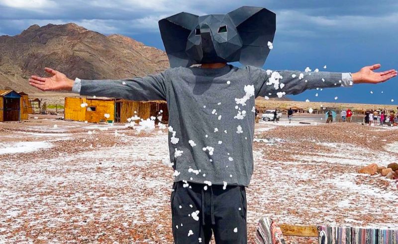 Wander Through Sinai With The Strolling Elephant’s Newest Escapade