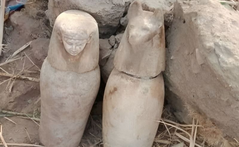 Four Ancient Egyptian Canopic Jars Found by Chance at Beni Suef