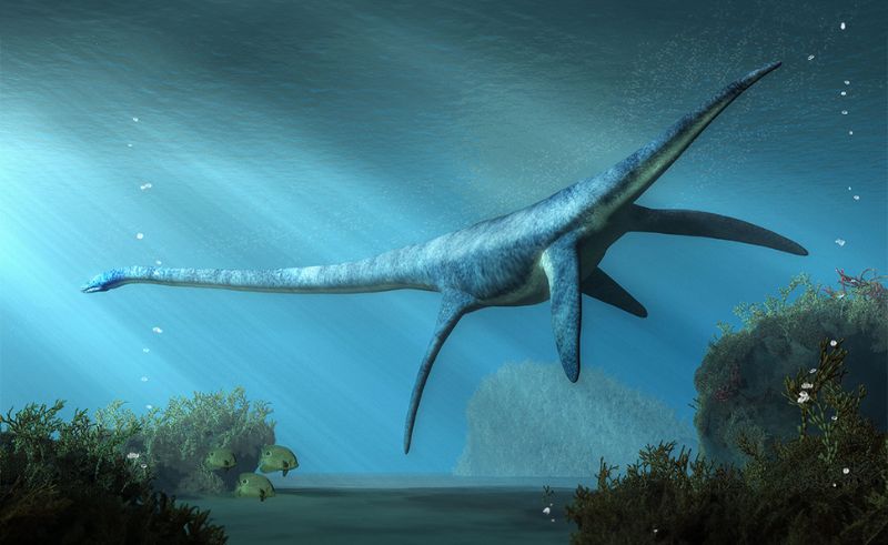 65-Million-Year-Old Fossils Discovered in Egypt's New Valley