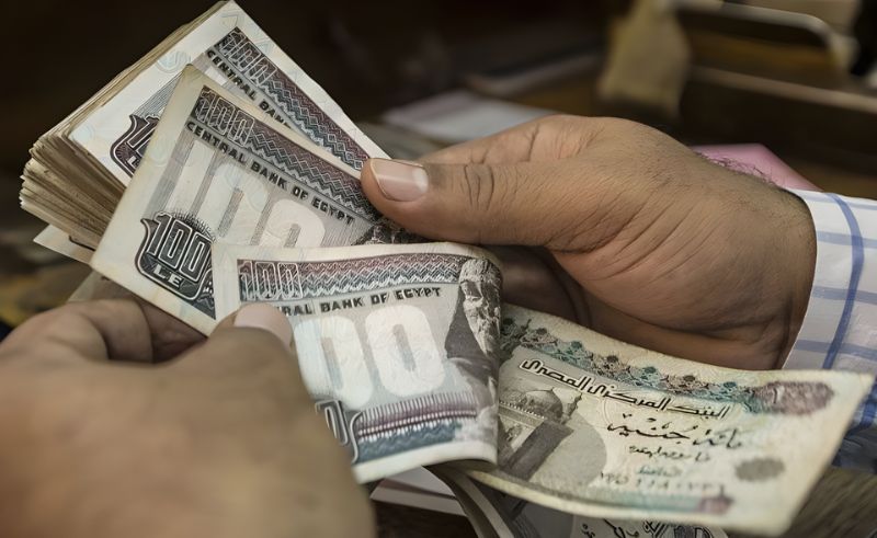 Egyptian Authorities Collect EGP 8.8 Billion From Tax Evasion Cases