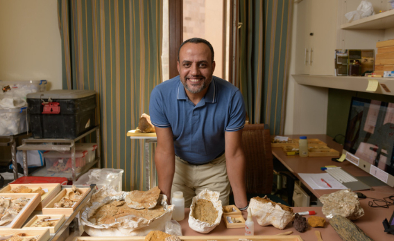 75 Million-Year-Old Dinosaur Remains Unearthed in the Western Desert