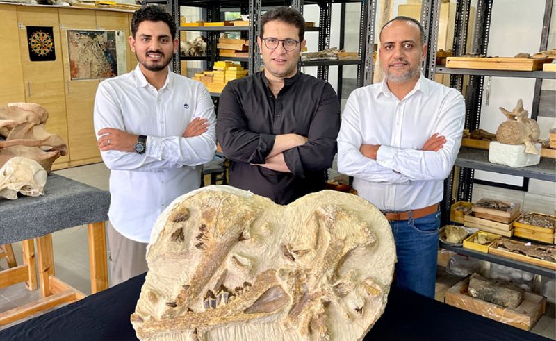 41 Million Year Old Whale Miniature Fossil Discovered in Fayoum
