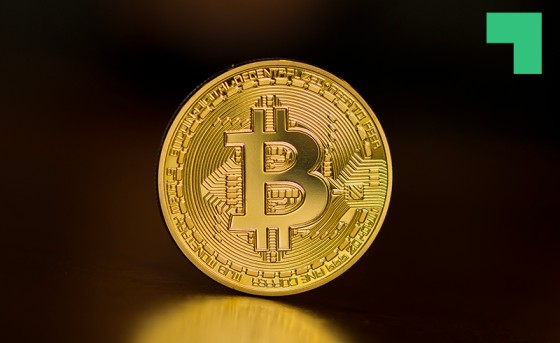 BitOasis Receives Funds From India’s Largest Cryptocurrency Exchange