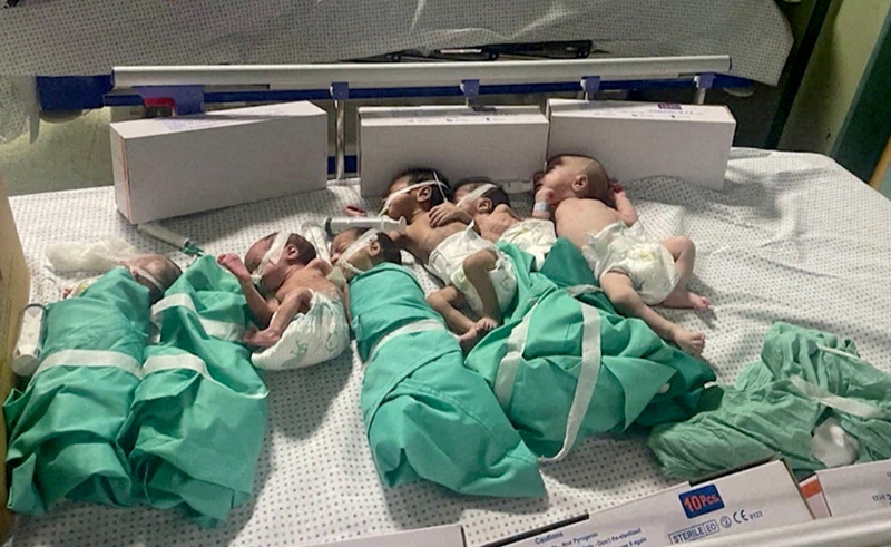 Egypt's Health Ministry to Transfer 36 Newborns from Al Shifa Hospital