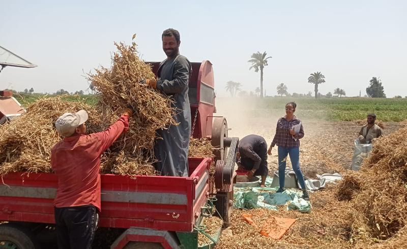 142 Projects Have Been Completed in Beni Suef Over Past 10 Years
