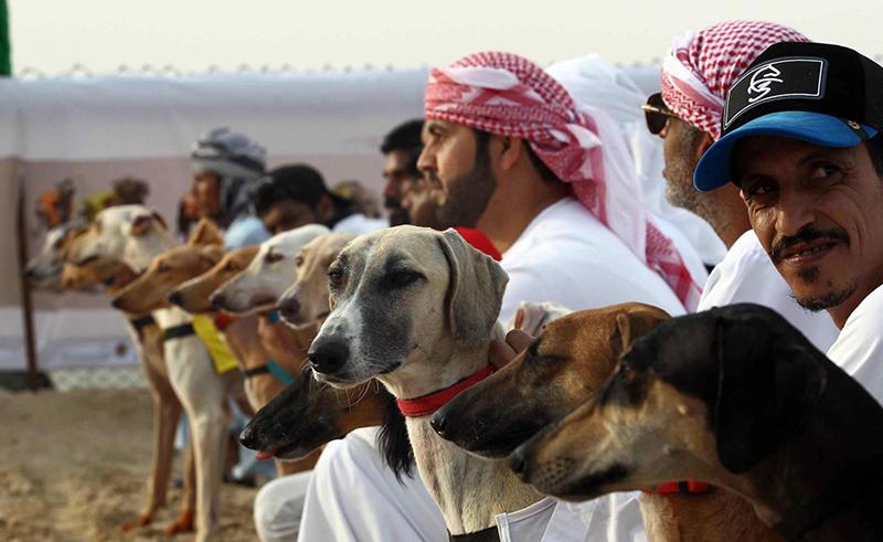 Saudi Arabia to Host First ‘Global Dog Festival’ During Riyadh Season