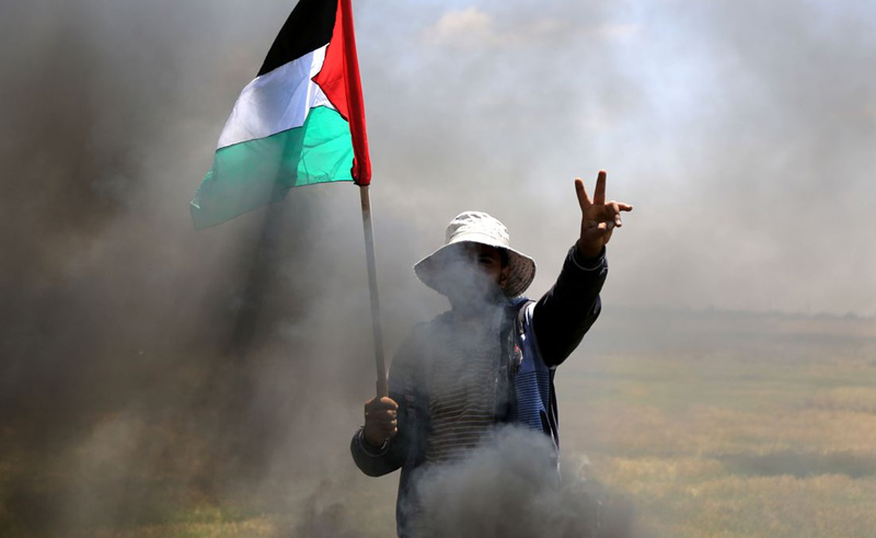 Egypt Calls For Full Recognition of Palestine in UN General Assembly