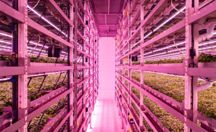 ReFarm is Building the World’s Largest ‘Vertical Farm’ in Dubai