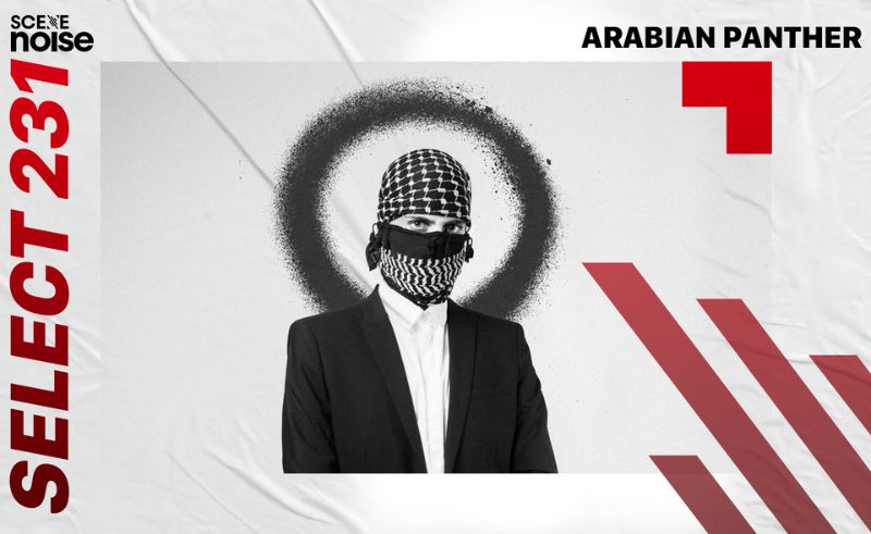 Select 230: Mixed by Arabian Panther