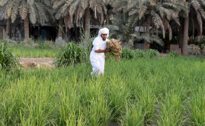 Environment Week 2024 Highlights Saudi Arabia’s Role in Green Era