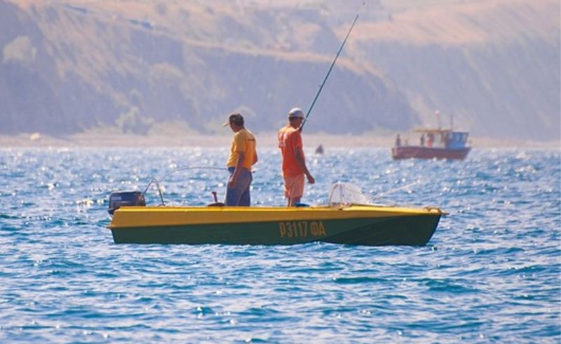 Red Sea Fishing Activities Temporarily Halted as Conservation Measure