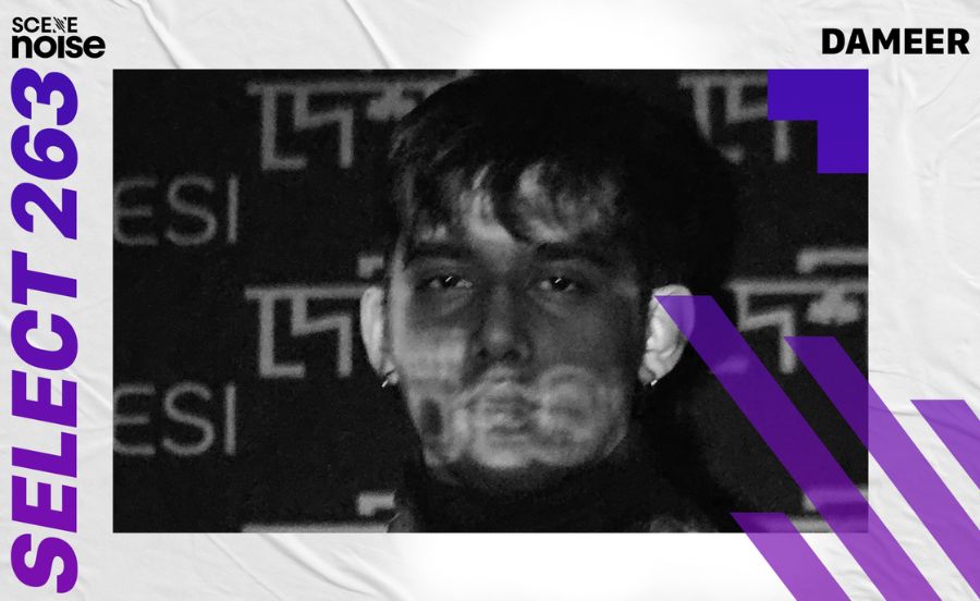 Select 263: Mixed by Dameer