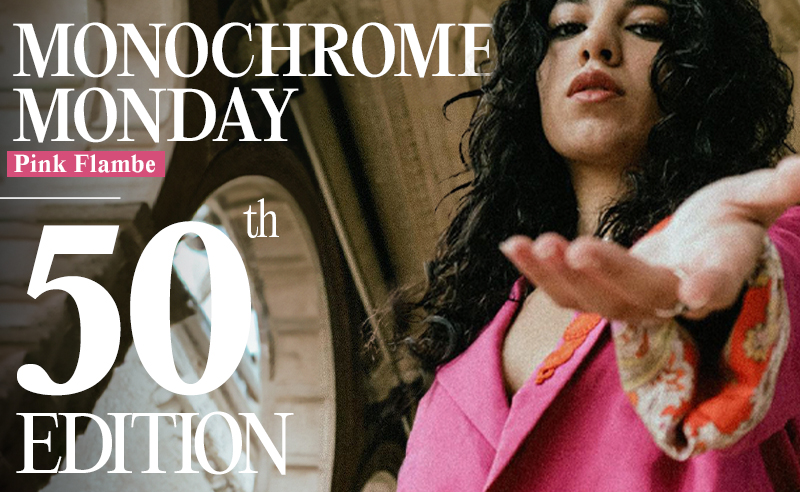 The 50th Edition of Monochrome Monday: Pink Flambe