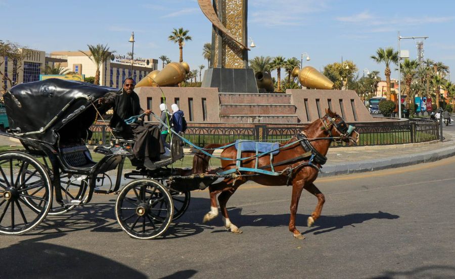 Horses in Luxor are Getting Diapers Ahead of Peak Tourism Season