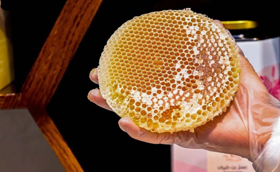 16th International Honey Festival Gets a Sweet Start at Al-Baha City