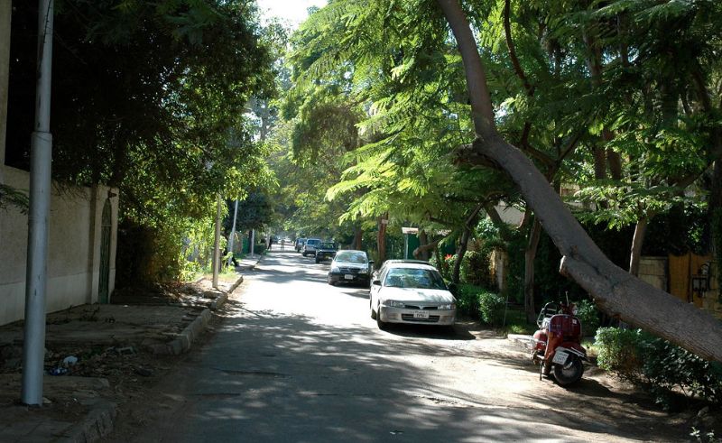 Prime Minister Directs the Creation of Green Spaces All Over Egypt