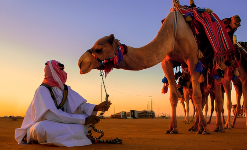 'Camel Lexicon' Launched to Underscore Cultural Significance of Camel