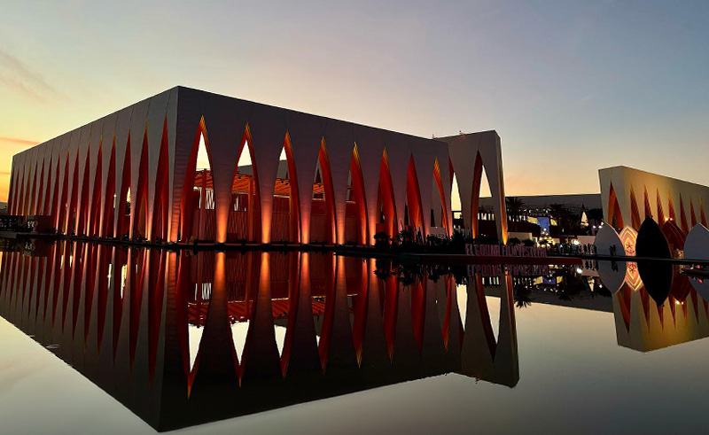 13 Globally Acclaimed Films Selected for El Gouna Film Festival