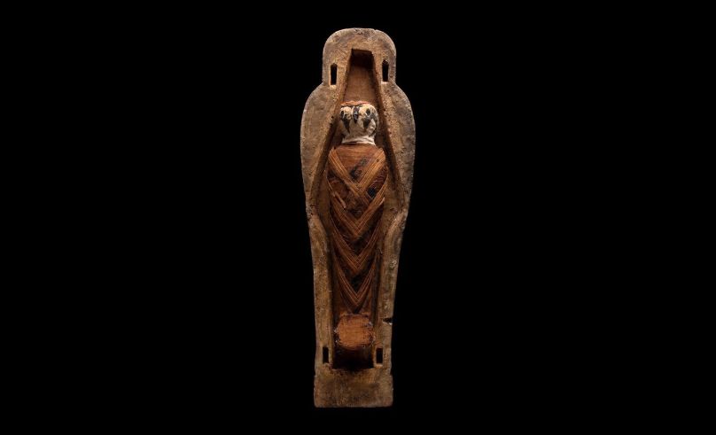 Rare Mummified Falcon From Ancient Egypt on Sale at Abu Dhabi Art