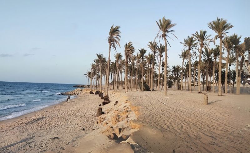 Permanent Exhibition Ground & Market Introduced in North Sinai’s Arish