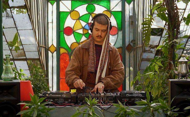 Houseplant | 022 - Azzouni