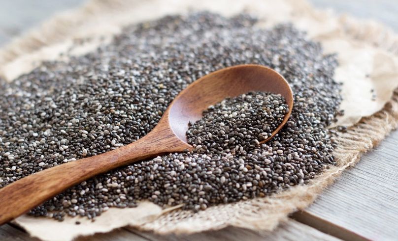 Saudi Ministry Expands Chia Cultivation for Sustainable Farming