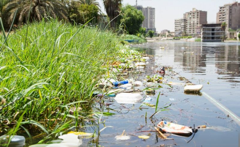 Ain Shams Researchers Turn Eggshell Waste Into Nile Water Purifier
