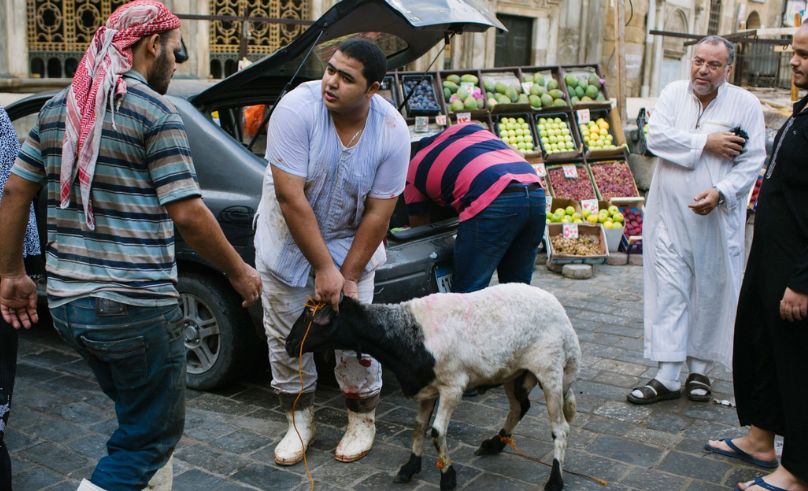 EGP 10,000 Fine for Street Butchering & Waste During Eid Al-Adha
