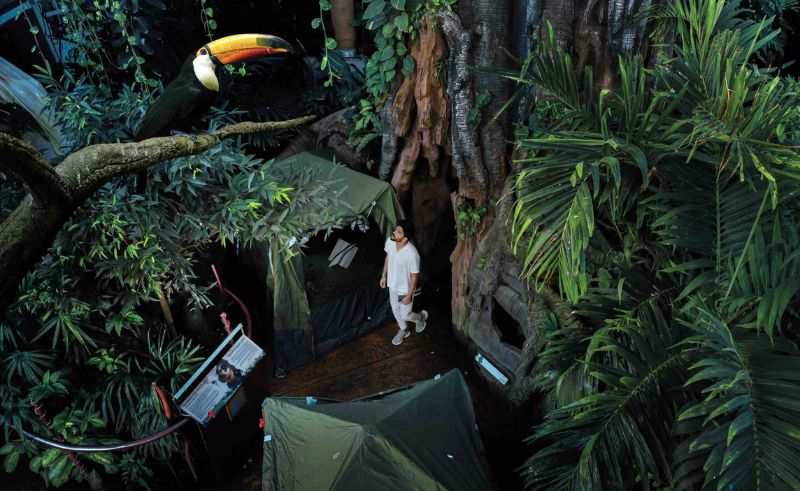Rainforest Camping Returns to The Green Planet Dubai This Summer