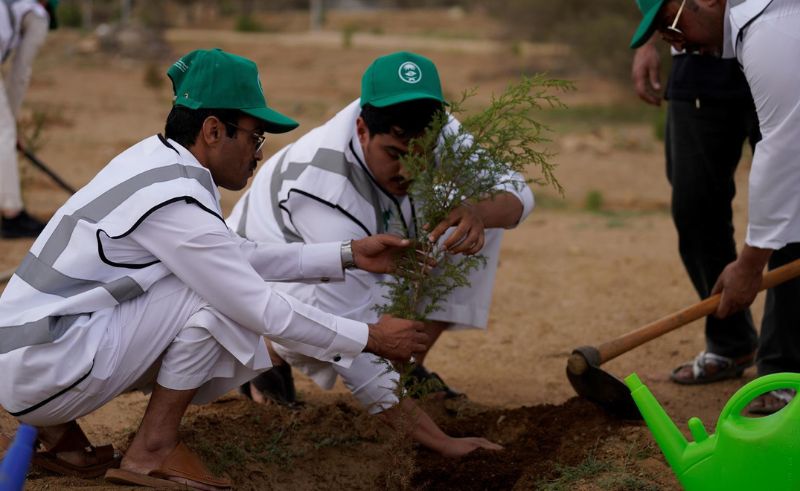 Over 31 Million Trees Planted in Saudi Arabia’s Eastern Province