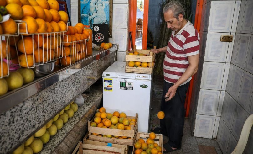 Citrus Leads Egypt’s Agricultural Exports at 1.8 Million Tonnes