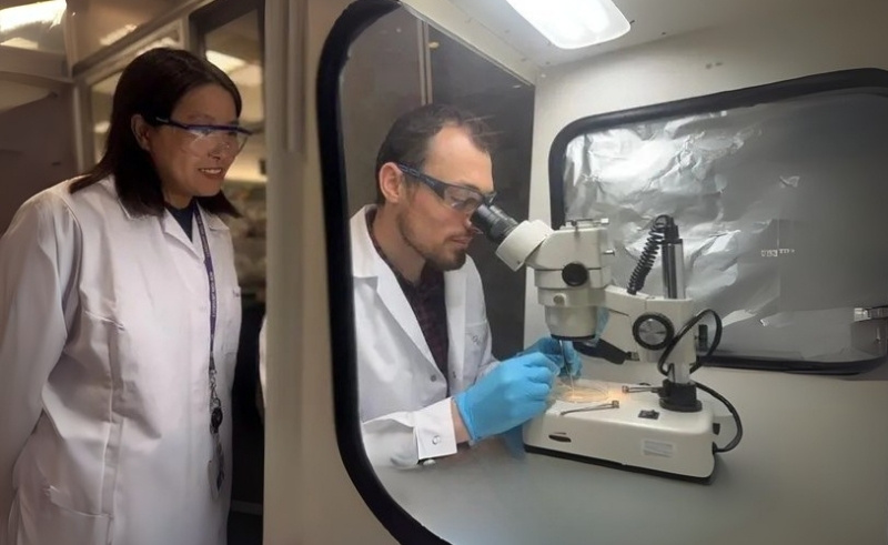Abu Dhabi Researchers Find New Links for Mental Health Disorders