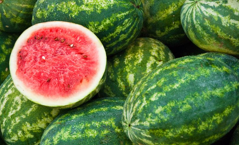 We Asked Chat-GPT to Pick a Watermelon for Us