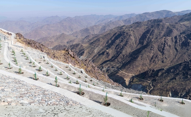 A New Eco-Friendly Mountaintop Retreat Is Coming to Sharjah in 2026
