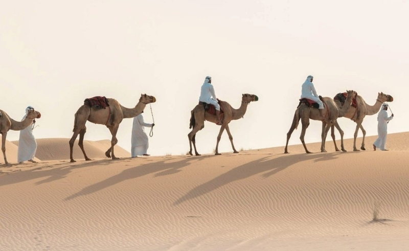 100 Youth to Join 1,000 km Camel Heritage Trek Across the UAE Desert