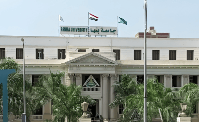 Benha University Launches First Addiction Psychology Program