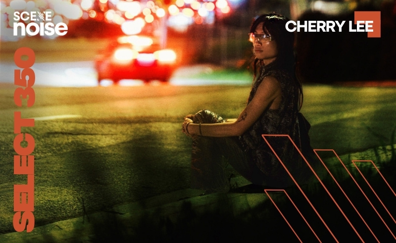 Select 350: Mixed by Cherry Lee 