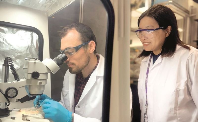 Interview: NYUAD Researchers Trace Autism to Tiny Brain Signal