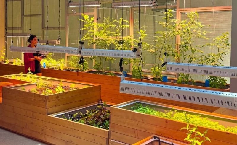 This Dubai Café is Growing Your Lunch Upstairs